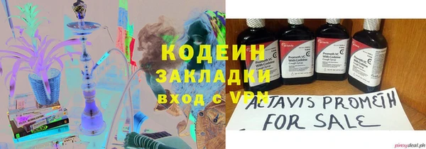 индика Володарск