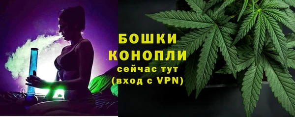 PSILOCYBIN Волоколамск